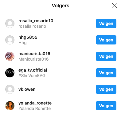 Nepvolgers_instagram_voorbeeld