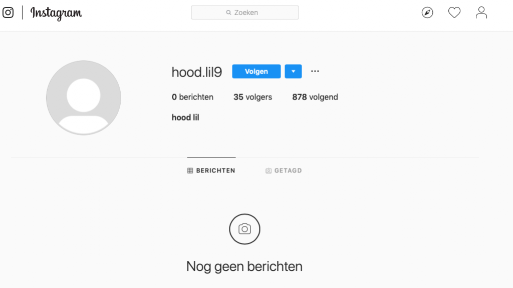 Voorbeeld_nepvolger_instagram
