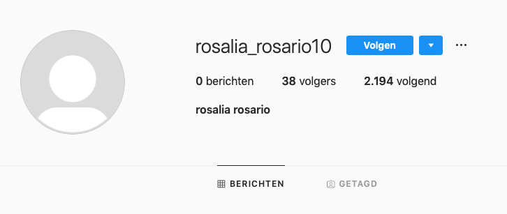 voorbeeld_nepvolger_instagram