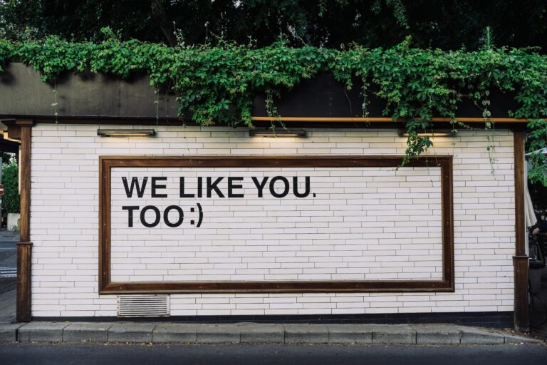 Online cursus influencer marketing
